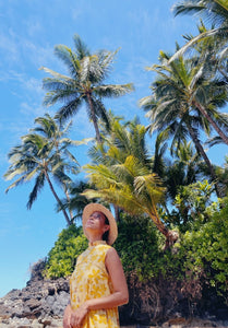 Hanohano Muʻu - Pualii Mele